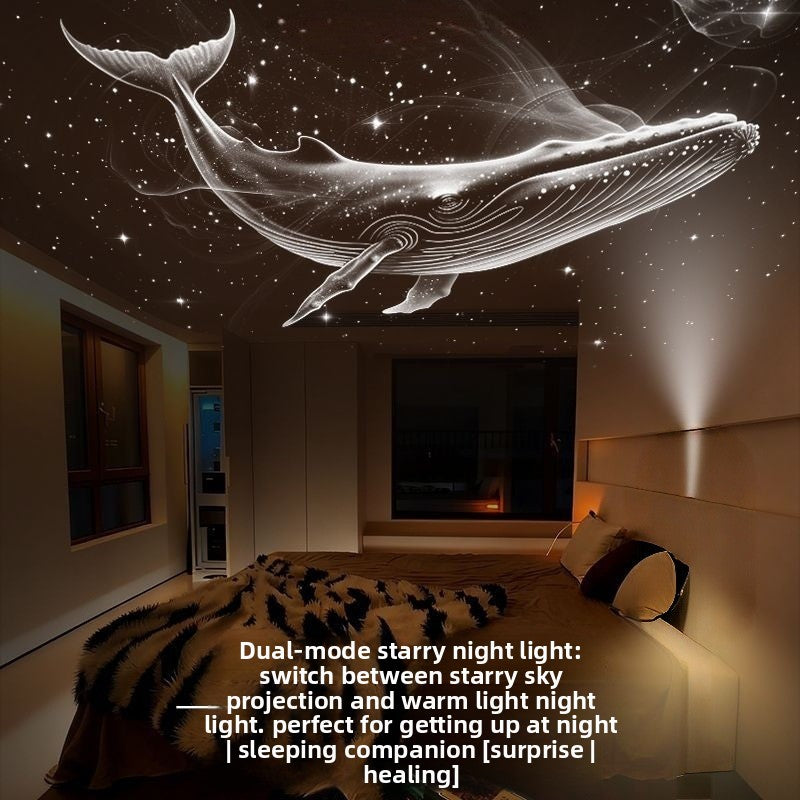 Projection Night Light ? Bring the Night Sky Home