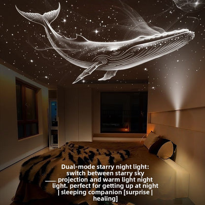 Projection Night Light ? Bring the Night Sky Home